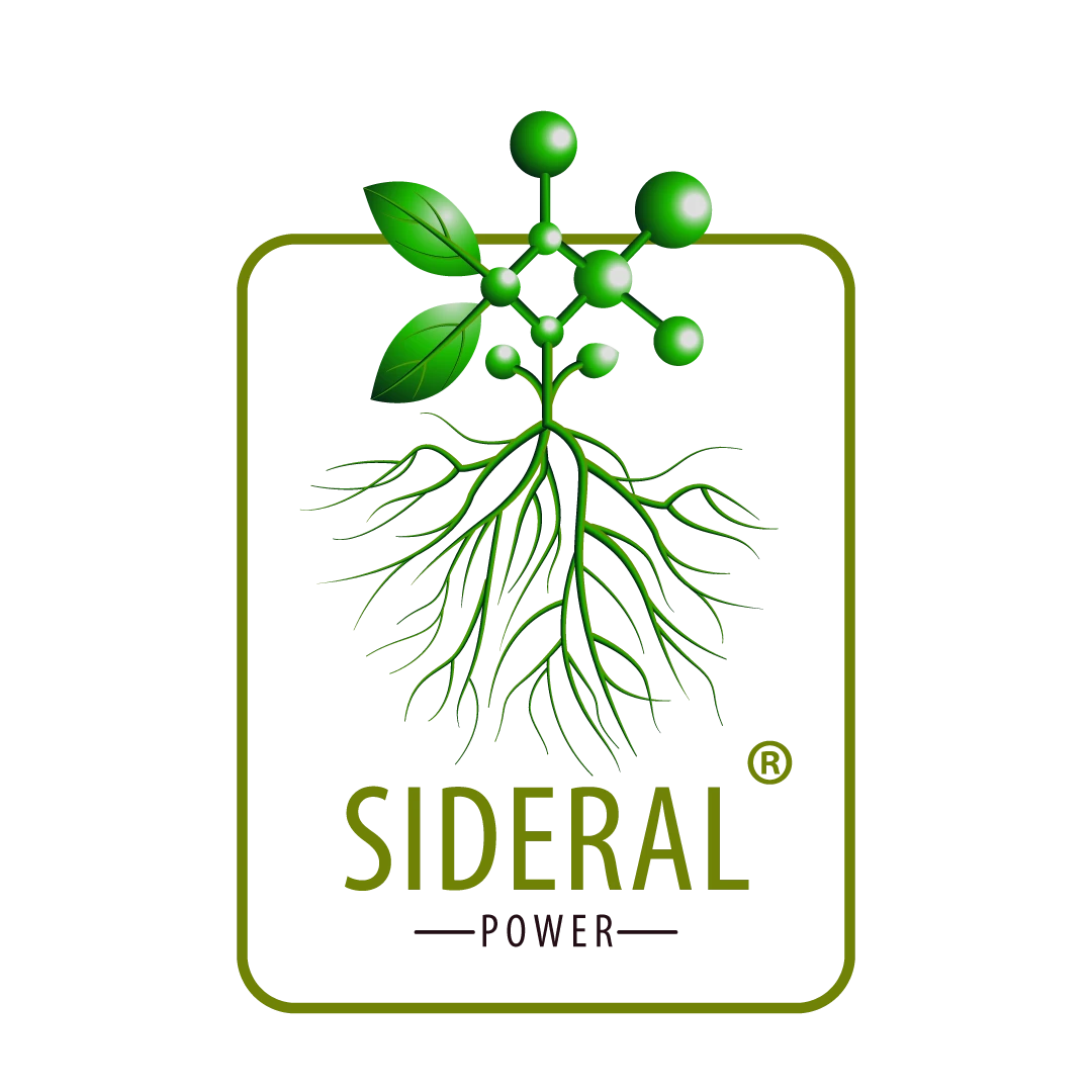 SIDERAL POWER