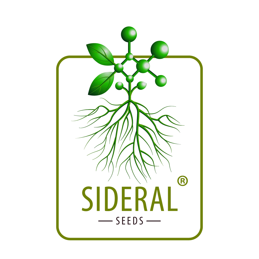 SIDERAL SEEDS